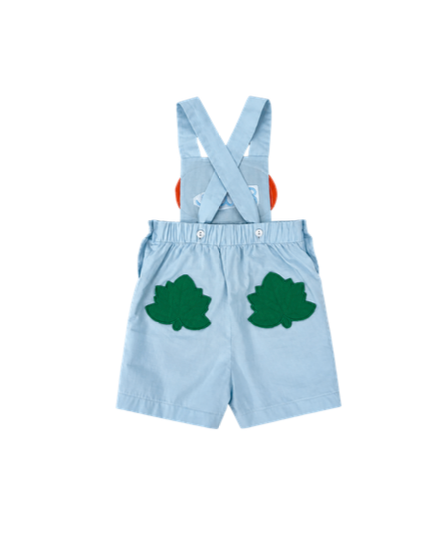 Mason Boy Overall